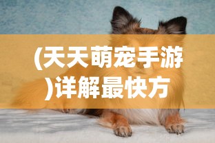 (天天萌宠手游)详解最快方式：天天爱萌宠星灵宠物怎么获取？秘诀大公开