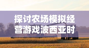 探讨农场模拟经营游戏波西亚时光：是否支持联网多人协作模式进行游戏？