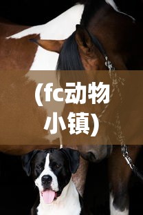 (灵魂岛无限怎么玩)详解灵魂岛无限登录问题：游戏账户、密码忘记与恢复的全过程
