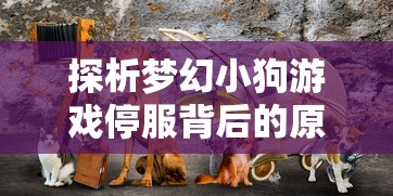 探析梦幻小狗游戏停服背后的原因：玩家流失还是运营不善导致的结果？