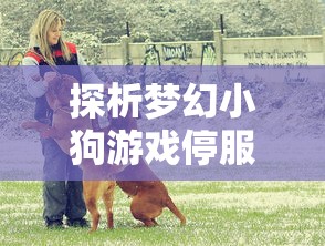 探析梦幻小狗游戏停服背后的原因：玩家流失还是运营不善导致的结果？