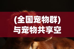 (全国宠物群)与宠物共享空间：国内顶级宠物集结地名字揭秘