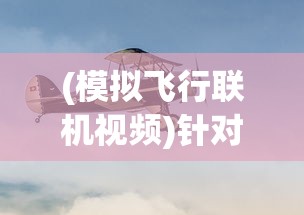 (模拟飞行联机视频)针对航空爱好者：详细解析schiphalast模拟飞行游戏如何实现联机对战