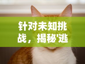 铁甲战神剧情发展迷雾重重，女主角去向成谜，观众期待解答的焦点