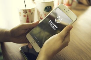 深度探索：移动游戏'手机网易天书奇谭'中的创新交互设计与叙事手法的完美结合