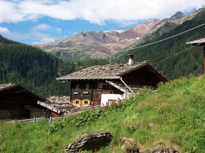 探讨第六大陆宅基地：以生态环保理念为引领，推动中国乡村振兴战略的新篇章
