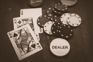 (弹珠游戏原理)体验独特游戏乐趣：3D动画弹珠游戏的技术创新与游戏策略研究