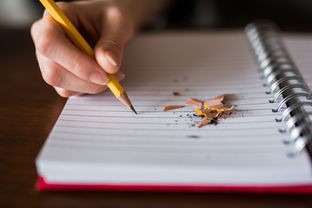 通过什么途径可以获得《守墓人笔记》？详解获取此神秘小说的方法与技巧