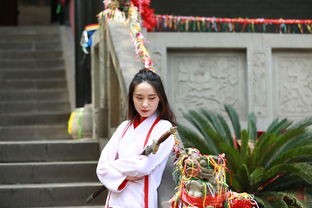(江山烽火连城武将推荐)游戏中的历史课 - "江山烽火连城"游戏带你了解古代战争策略。
