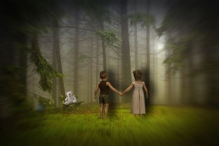 探寻奇幻世界：《沃瑞尔的戒指》的来历与在哪里得到这神秘力量的深度剖析
