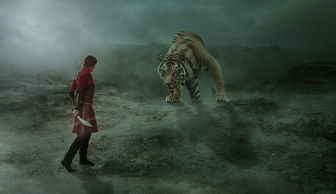 探讨观众接受度：动漫经典《幻想小勇士》改名之后的新名称及其背后的商业策略分析