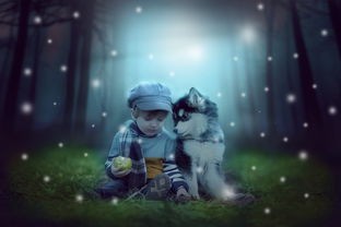 少年御灵师微信小游戏：探索神秘世界，陪你度过有趣的暑假时光