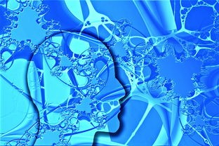 (探索幻想)探索家的新定义：萌幻之幻新的起点Home的创新设计与人性化体验