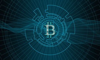探索化学世界的密码：解析元素代号的含义及其在科学研究中的重要性