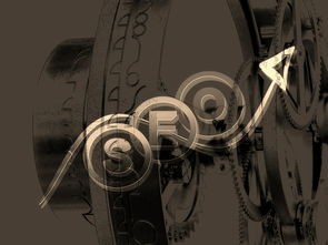 (潘神的迷宫剧情解析知乎)寻找中文之声：《潘神的迷宫》是否拥有国语配音版本？