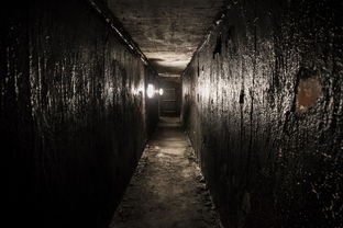 一带一路工程背后的创新：隧道逃生黄油游戏在建筑行业的应用及影响研究