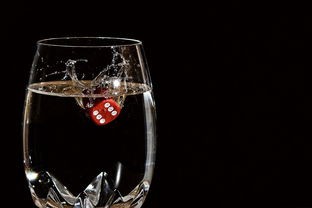 深度解析：探究杯莫停轩尼诗价格波动现象并分析其背后的市场经济影响因素