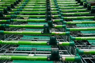 探讨多可比新品发售日期：产品特性、消费者期待与市场竞争态势的三重影响