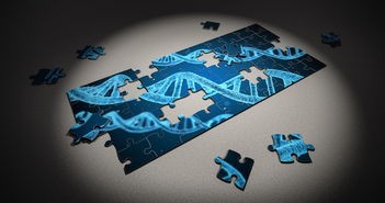 深度探索：如何利用勇者之书修改器调整战斗策略与角色成长路径