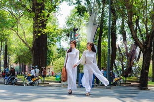 体验古代文化魅力，梦溪画坊好玩吗？揭秘其独特的旅游乐趣和互动项目