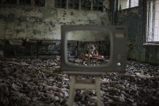 (辐射3攻略视频解说视频)全面了解辐射3的玩法和高级技巧：详细教程带你通关无压力