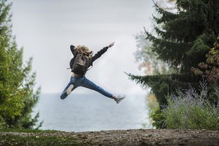 探索君临天下手游的奇幻世界：带你领略策略与冒险的完美结合之旅