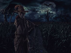 (迷雾侦探神之)在迷雾重重的案件中，神探如何运用推理破解真相的精彩故事
