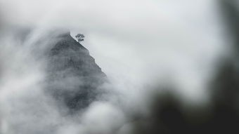 (未尽之事什么意思)未尽行夜下架了吗？深夜之间想问自己的未尽之事