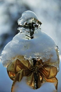 (雪中悍刀行第二部是啥)雪中悍刀行第二季：冰雪严寒下的新征程，再战烽火战场