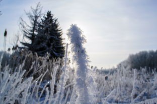 (雪中悍刀行第二部是啥)雪中悍刀行第二季：冰雪严寒下的新征程，再战烽火战场
