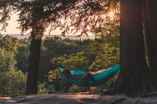 夕阳染红的街道游戏：在余晖中漫步，感受温暖如初的邂逅与回忆