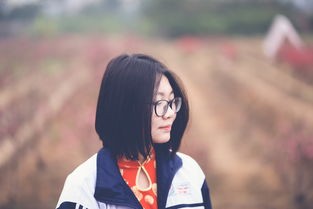 (甜了个蜜图片)甜了个蜜MV：探索甜蜜爱情的音乐之旅与浪漫故事背后的深意