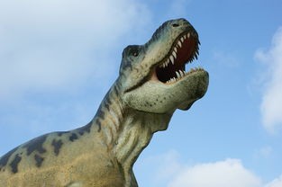 恐龙考古家: 揭秘古生物秘密，科学探寻史前时代的神秘遗迹，无广告纯粹学术研究