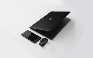 (苹果电脑怎么共享wi-fi)苹果电脑如何共享WiFi？一步步教你实现共享WiFi连接其他设备的方法