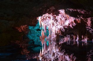 探秘恐怖魔幻世界：暗黑地下城堡2，挑战未知黑暗力量，勇者的冒险传奇