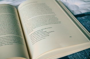 (裁决讲的是什么)裁决这本书：揭示故事背后的真相和人性的深层奥秘