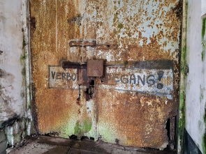 探讨古代战争2024阵容T0的实力与策略，揭示历史战争中的奥秘与战术技巧
