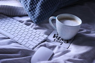 外星人电脑清灰一般多少钱？清洁维护费用如何？了解清洁服务价格