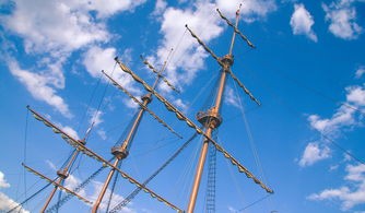 (简述载体构建全过程)深入探讨载体解说的多样化形式及其在信息传播中的重要作用