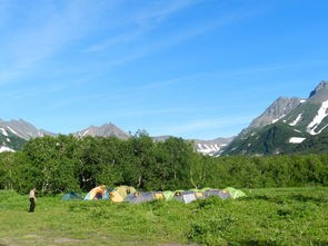 (回森林去小游戏攻略)探秘回到森林的奇幻旅程：回森林去游戏攻略大全详细指南
