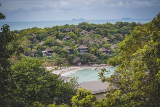 在山地享受绝佳风景：山地别墅全新装修，豪华设施齐全，现接受短租预订!