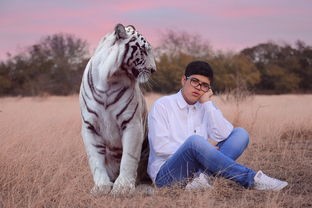 (非常普通的鹿,未来篇)超级超级普通的鹿未来版：一只关于平凡生活的故事