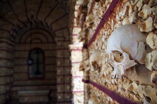 (山海经里的奇珍异宝)探寻《山海经》中的奇珍异宝：神秘图鉴与古代文明的奇妙交汇