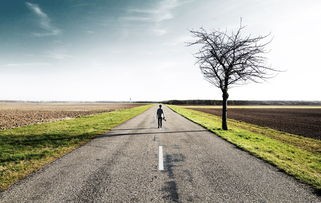 在冲击荣耀的道路上，我们绝不放弃，全力以赴追寻属于自己的辉煌时刻！