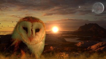 (“山海经异兽录”)山海经异兽录：探索古代神秘生物的传奇之旅