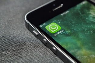 (9游app下载安装)如何在手机上安装9游app？快速、简便的9游app安装教程分享