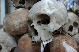 千年蜈蚣之守墓虫完整版：揭秘古墓探险中的神秘生物与惊悚故事
