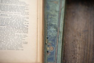 (诗中的裁字用词有什么特点)裁诗是什么意思？探索裁诗在古代文学中的独特魅力与现代应用