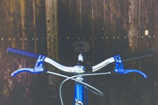 (法医剧集)法医JD第二季即将来袭，快来了解一下这部剧的最新动态！