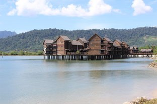 (搜索海岛探险)探寻海岛传奇官方正版游戏：探险新世界，畅游无限海洋奇遇